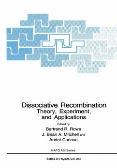 Dissociative Recombination - Rowe, Betrand R; North Atlantic Treaty Organization; NATO Advanced Research Workshop on Dissociative Recombination Theory Experiment and Applications