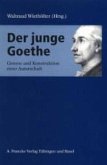 Der junge Goethe