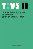 Photosynthesis During Leaf Development