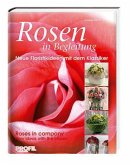 Rosen in Begleitung / Roses in company
