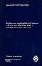 Arbeits- und sozialrechtliche Probleme in Klein- und Mittelbetrieben - Tomandl, Theodor / Aigner, Wolfgang