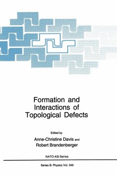 Formation and Interactions of Topological Defects - North Atlantic Treaty Organization; NATO Advanced Study Institute on Formation and Interactions of Topological Defects