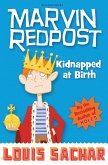 Kidnapped at Birth