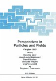 Perspectives in Particles and Fields