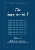 The Superworld I