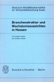 Branchenstruktur und Wachstumsaussichten in Hessen.