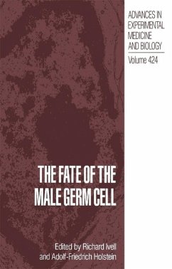 The Fate of the Male Germ Cell - Holstein, A F