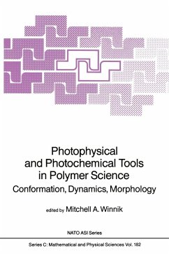 Photophysical and Photochemical Tools in Polymer Science - Winnik, Mitchell A. (ed.)