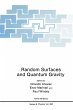 Random Surfaces and Quantum Gravity - Bild 1