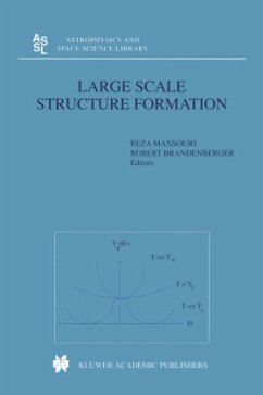 Large Scale Structure Formation - Mansouri