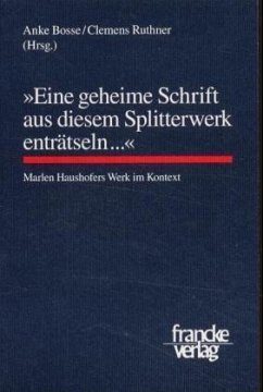 'Eine geheime Schrift aus diesem Splitterwerk enträtseln . . .' - Anke Bosse, Clemens Ruthner