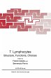 T Lymphocytes - Bild 1
