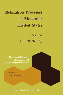 Relaxation Processes in Molecular Excited States - Fünfschilling, J. (ed.)