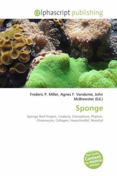 Sponge Sponge