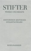 Die Mappe meines Urgroßvaters / Werke und Briefe 6,2