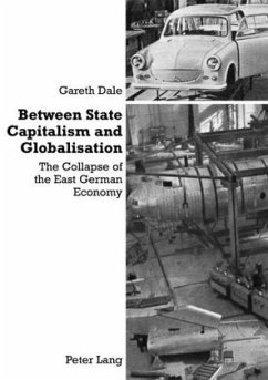 Between State Capitalism and Globalisation - Dale, Gareth