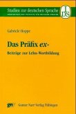 Das Präfix ex-