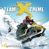 Unternehmen Schneefeuer / Team X-Treme Bd.12 (MP3-Download)