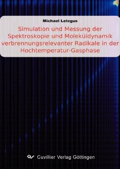 Simulation und Messung der Spektroskopie und Moleküldynamik verbrennungsrelevanter Radikale in der Hochtemperatur-Gasphase - Letzgus, Michael