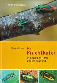 Die Prachtkäfer in Rheinland-Pfalz und im Saarland - Niehuis, Manfred