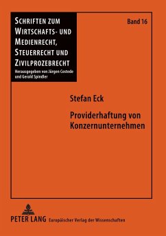 Cover Providerhaftung von Konzernunternehmen