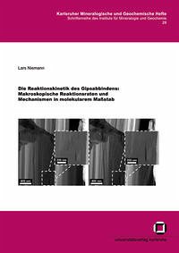 Die Reaktionskinetik des Gipsabbindens: Makroskopische Reaktionsraten und Mechanismen in molekularem Massstab - Niemann, Lars