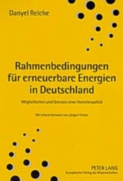 Rahmenbedingungen für erneuerbare Energien in Deutschland - Reiche, Danyel