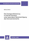 Die Zwangsvollstreckung in Internet-Domains unter besonderer Berücksichtigung des Kennzeichenrechts