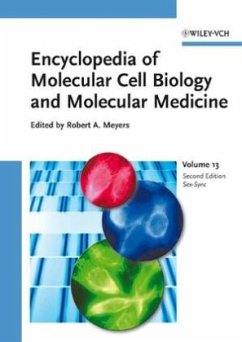 Analogs and Antagonists to Synchrotron Infrared Microspectroscopy Sex Hormones (Male) - Meyers, Robert A. (Hrsg.)