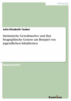 Intrinsische Gewaltmotive und ihre biographische Genese am Beispiel von jugendlichen Inhaftierten - Teuber, Julia Elisabeth