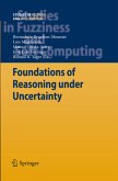 Foundations of Reasoning under Uncertainty