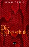 Die Liebesschule