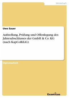 Aufstellung, Prüfung und Offenlegung des Jahresabschlusses der GmbH & Co. KG (nach KapCoRiLiG) - Sauer, Uwe
