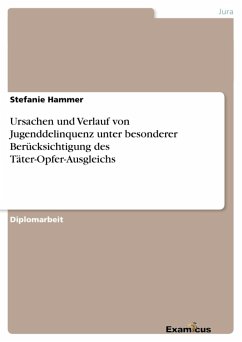 Ursachen und Verlauf von Jugenddelinquenz unter besonderer Berücksichtigung des Täter-Opfer-Ausgleichs