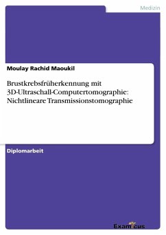 Brustkrebsfrüherkennung mit 3D-Ultraschall-Computertomographie: Nichtlineare Transmissionstomographie