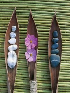 Cover Zen Nature
