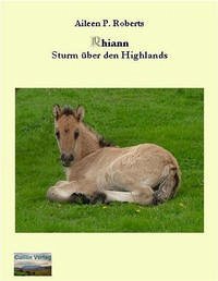 Rhiann - Sturm über den Highlands - Roberts, Aileen P