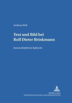 Text und Bild bei Rolf Dieter Brinkmann - Moll, Andreas