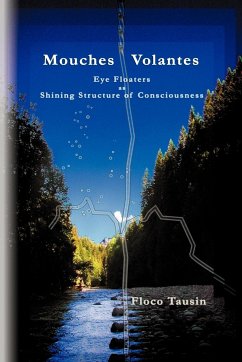 Mouches Volantes - Eye Floaters as Shining Structure of Consciousness - Tausin, Floco