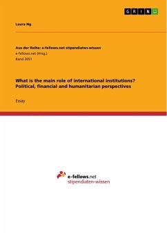 What is the main role of international institutions? Political, financial and humanitarian perspectives