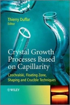 Crystal Growth Processes Based on Capillarity - Duffar, Thierry (Hrsg.)