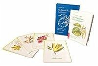 Körblersche Baumblüten® Kartenset - Maiss, Christiane