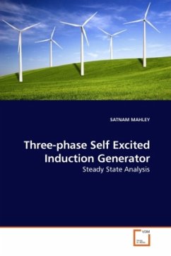 Three-phase Self Excited Induction Generator - MAHLEY, SATNAM