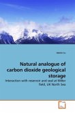 Natural analogue of carbon dioxide geological storage