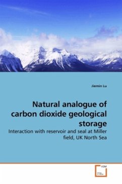 Natural analogue of carbon dioxide geological storage - Lu, Jiemin