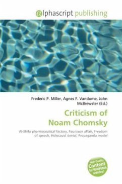 Criticism of Noam Chomsky
