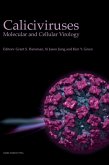 Caliciviruses Caliciviruses