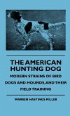 The American Hunting Dog - Modern Strains of Bird Dogs and Hounds, and Their Field Training