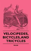 Velocipedes, Bicycles, And Tricycles