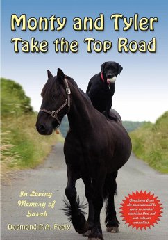 Monty and Tyler Take the Top Road - Feely, Desmond P. A.